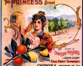 Corona Riverside County The Princess Orange Lemon Citrus Fruit Crate Box Label Art Print