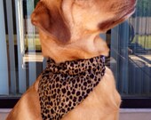 Leopard Styled Over-The-Collar Bandana