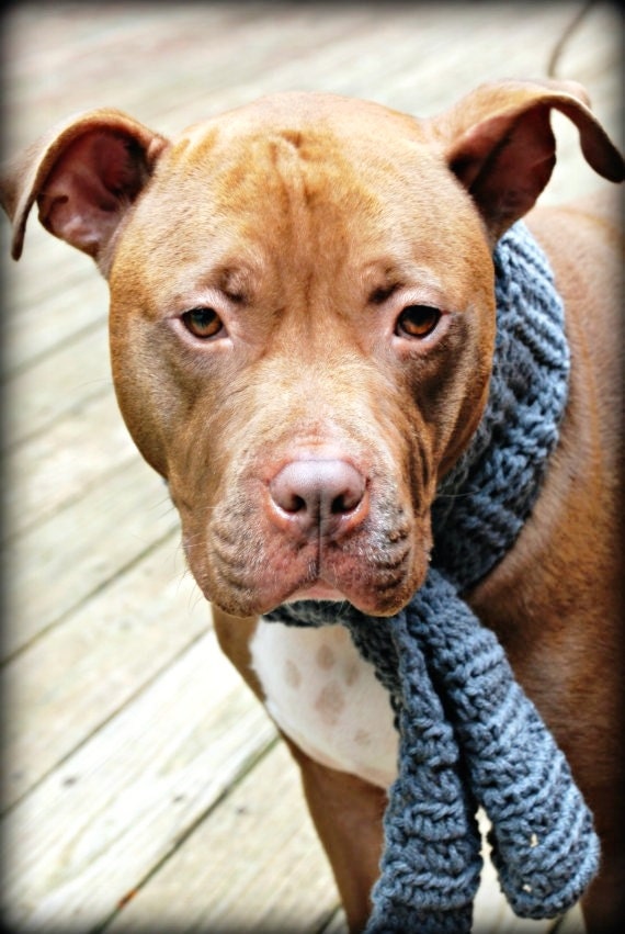 Crochet Dog Scarf Grey for Large Breeds