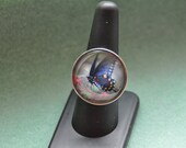 Black Swallowtail Butterfly Glass Cabochon--Sterling Silver Plated Ring