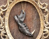 Jaw bone Necklace with Brass tooth - Ebony