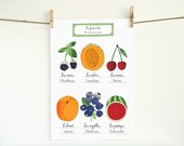 Kitchen Art French Summer Fruits 13x19 kitchen poster of original illustration home decor Food Garden botanical chart