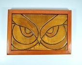 Wood Owl Art Wall Plaque Two Tone Carved