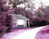 Purple and Pink Enchanted Cottage -  8 x 10 - Fine Art Photo
