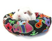 Piggy in the Middle Guinea Pig Cuddle Roll