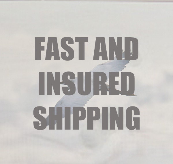 FAST and INSURED SHIPPING