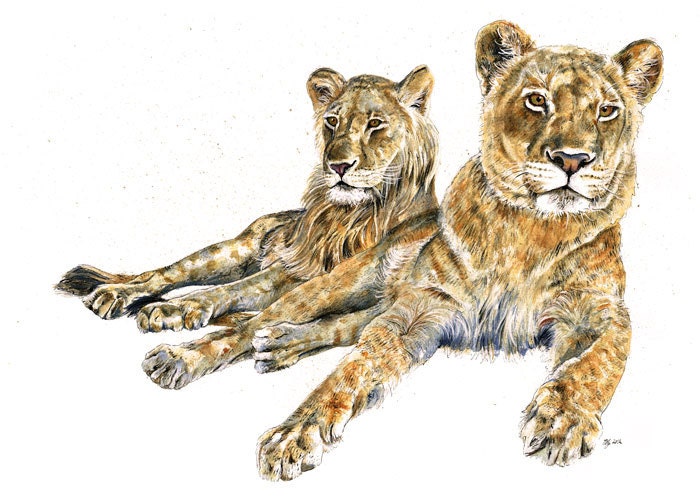 A2 Original Painting of a pair of young lions - "Madoda and Zambezi"