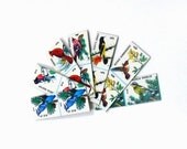 20% OFF SALE Songbird Dominoes Game, Vintage 1950s Wildlife Ephemera