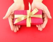 Gift Wrapping for all your Air Plant Gifts Any Occasion Birthdays Mothers Day Fathers Day Christmas Plant Lover Gift