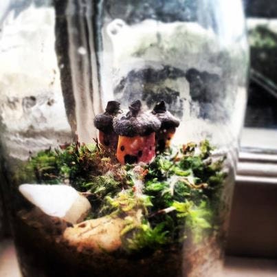 Moss Terrarium