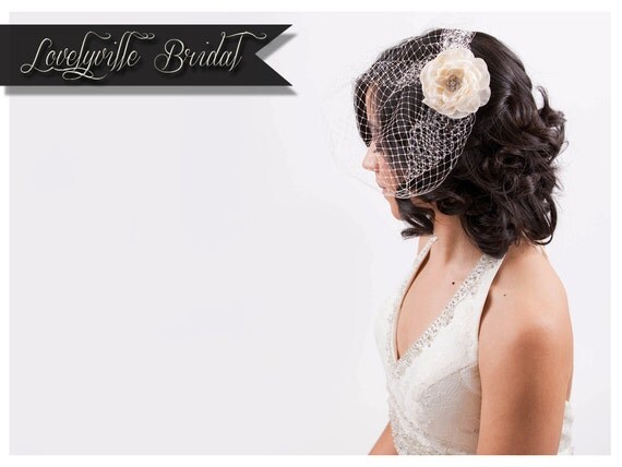 BIRDCAGE VEIL 9
