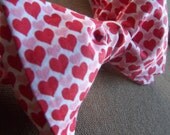 Lots of Love - Mens/Boys Adjustable Self-Tie Bow Tie in Red, Pink and White Heart Fabric