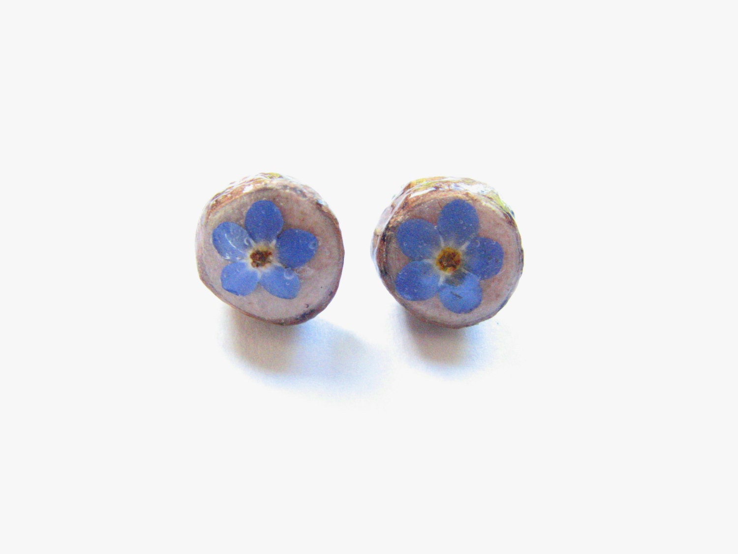 Dried Flower Earrings Pine Wood Stud Earring, Forget Me Not