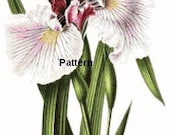 Iris. Counted Cross Stitch Pattern. PDF Files. Free shipping.