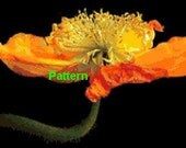 POPPIES. Cross Stitch Pattern. PDF Files.  Free shipping.