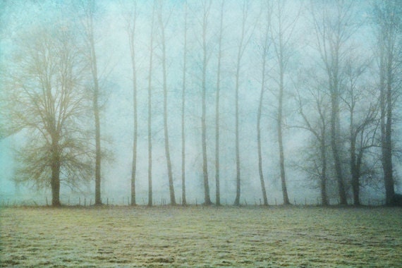 Tree Photography, Landscape, Aqua, Fog, Dreamy, France