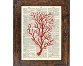 The Epitome of the Sea Red Coral Vintage Print on an Unframed Upcycled Bookpage