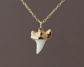 Tiny Gold White Shark Tooth Necklace