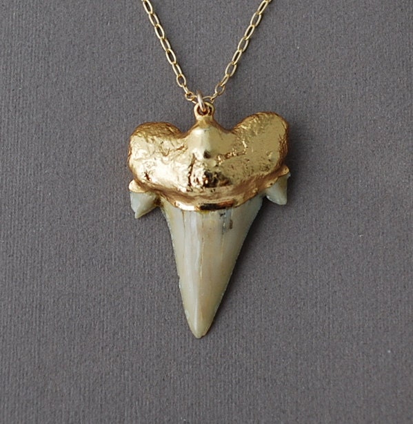 Gold Shark Tooth Necklace