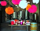 Tulle poms set of 5