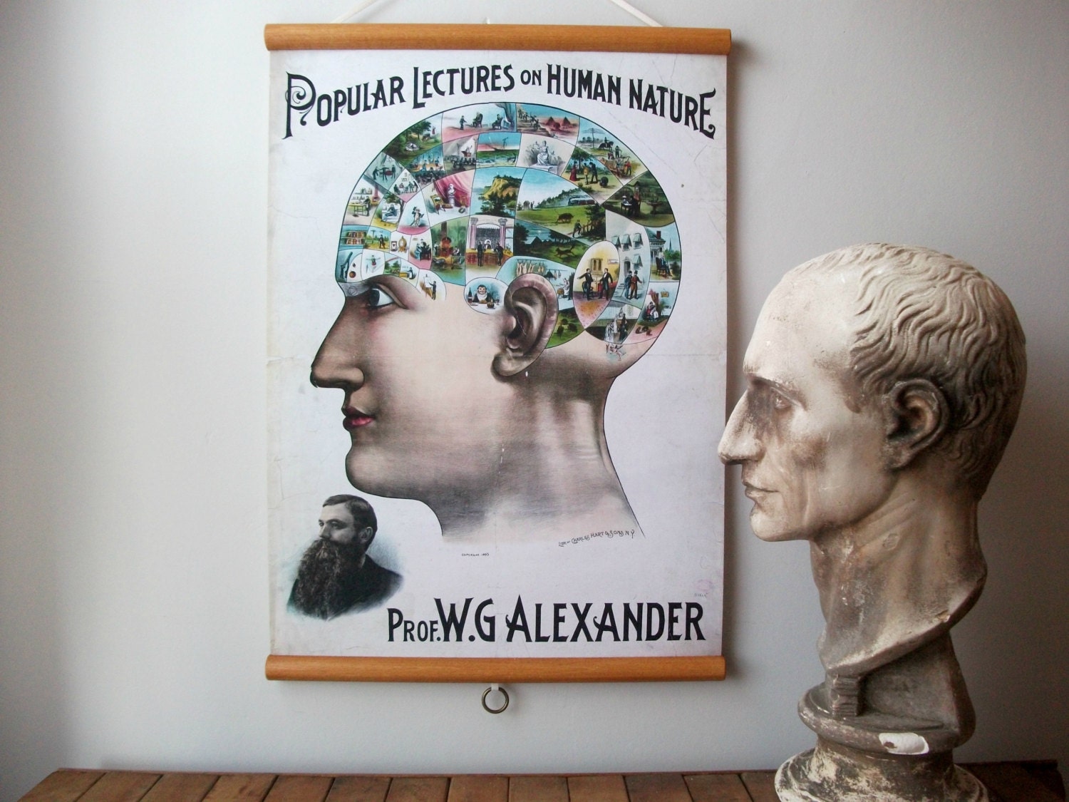 Canvas Vintage Style School Chart with Wood Trim  - Phrenology Head (17"x25")