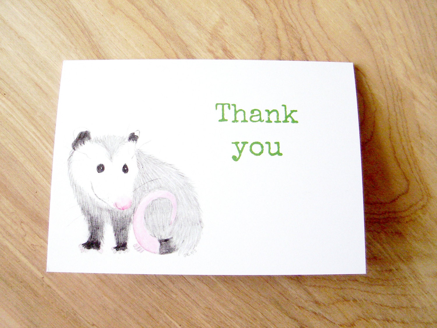 Thank You Cards - Possum Thank You Cards - Set of 5 Possum Thank You Cards with Envelopes