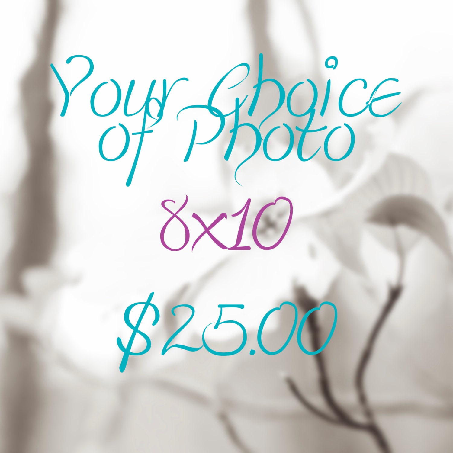 Your Choice of Photo in 8x10