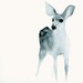 Ghost Fawn Listening - Fine Art Print