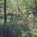 Dreamy Enchanted Forest Fence Woodland Rustic Home Decor Fine Art Photography -  8 x 12