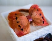 Amber Feather Bow Tie Pheasant Limited Edition