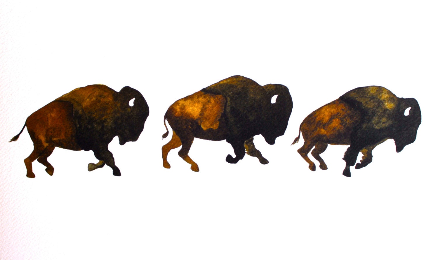 Bison Run - Watercolor Painting - Large Archival Print - 8x10 Buffalo