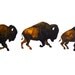 Bison Run - Watercolor Painting - Large Archival Print - 11x14 Buffalo