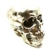 silver skull head, chrome, skulls, metallic silver decor, steampunk, tribal decor, anatomy, ultra modern