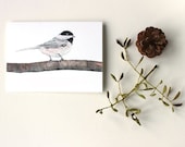 Chickadee Note Card - Nature, Bird Painting, Watercolor, Kraft Envelope, Blank Note, Art Card, Gray, Grey, Brown, Black, White