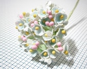 Forget Me Nots Flowers - Pale Blue