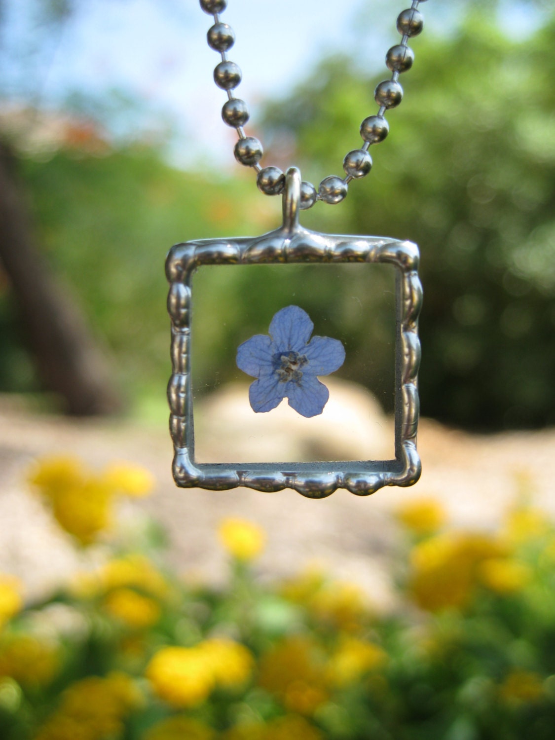 Silver Soldered Beaded Beveled Glass Pendant with a Real Forget Me Not Flower