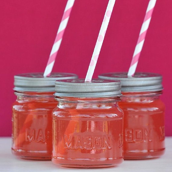 Set of 12 Small Mason Jars with Daisy Cut Lids Martha Stewart,Southern Charm