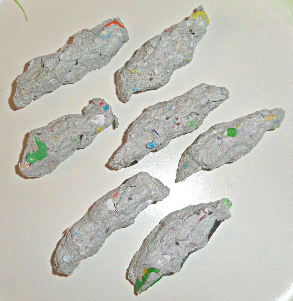 Open Pollinated Hybrid Howden Pumpkin Squished Seed Bombs - 7 Count - Custom Order Friendly