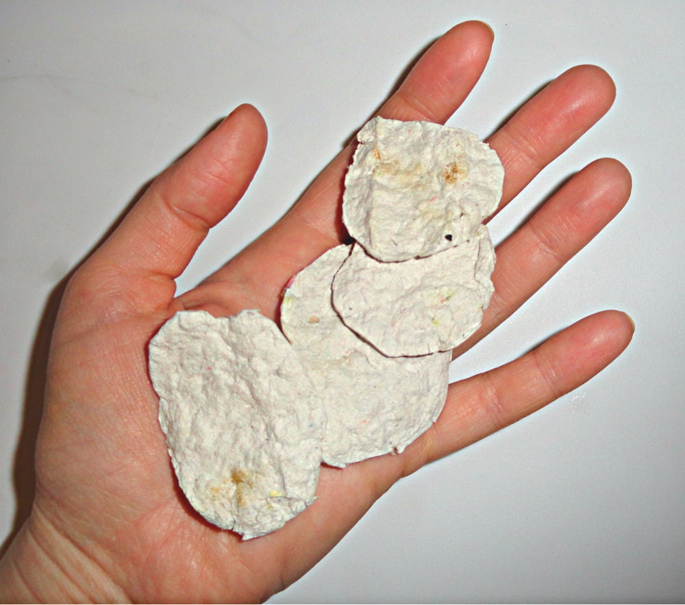 Cilantro- 4 Off White Flat and Throwable Paper Seed Discs for Guerilla Gardening - Animal Safe