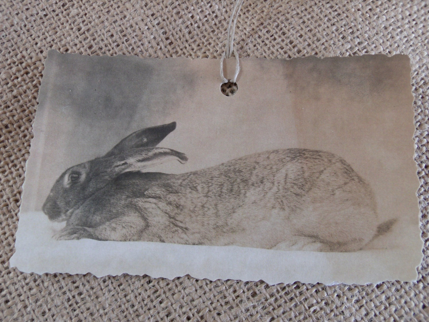 Reproduced Vintage RPPC French Postcard Easter /Gift Tag...Easter Rabbit, Easter Bunny