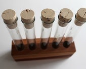 Test Tube Spice Rack - Salvaged Pacific Madrone - Limited Edition
