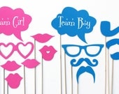 Team Girl - Team Boy Photo Booth Props - Gender Reveal Party