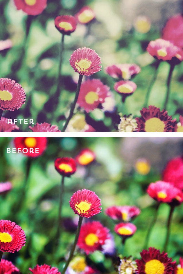 Vintage Sunday Photoshop Action plus a freebie