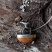 Bird on Silver and Stone pendant