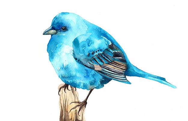 Bluebird Watercolor Illustration Print Birdie Blue Brown Feather Nature Home Decor