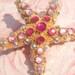 50% OFF SALE Starfish Hair Clip by Amanda Lynne LUXE