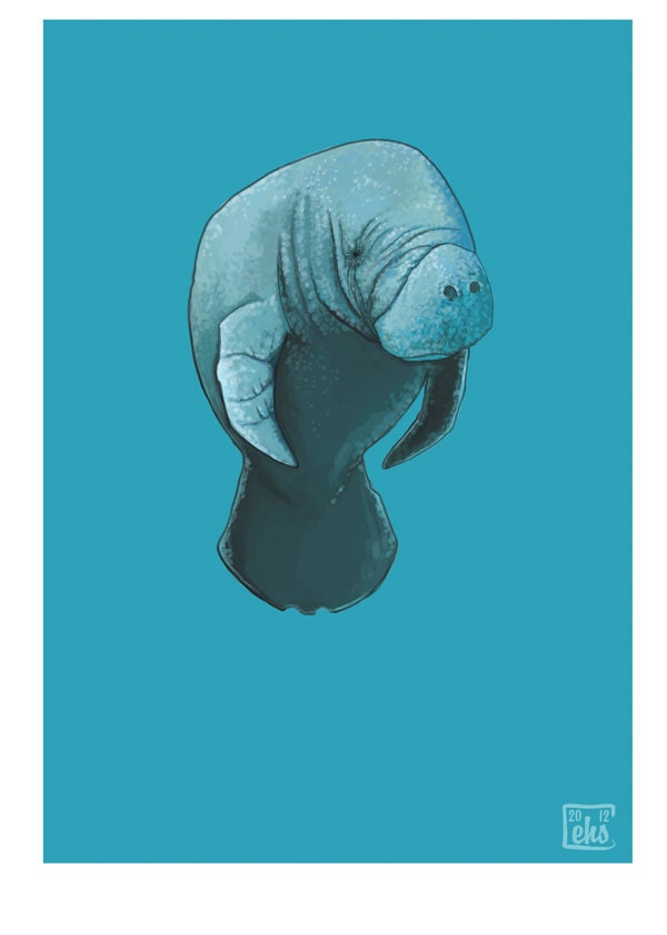 Manatee - 5x7 Mini Print