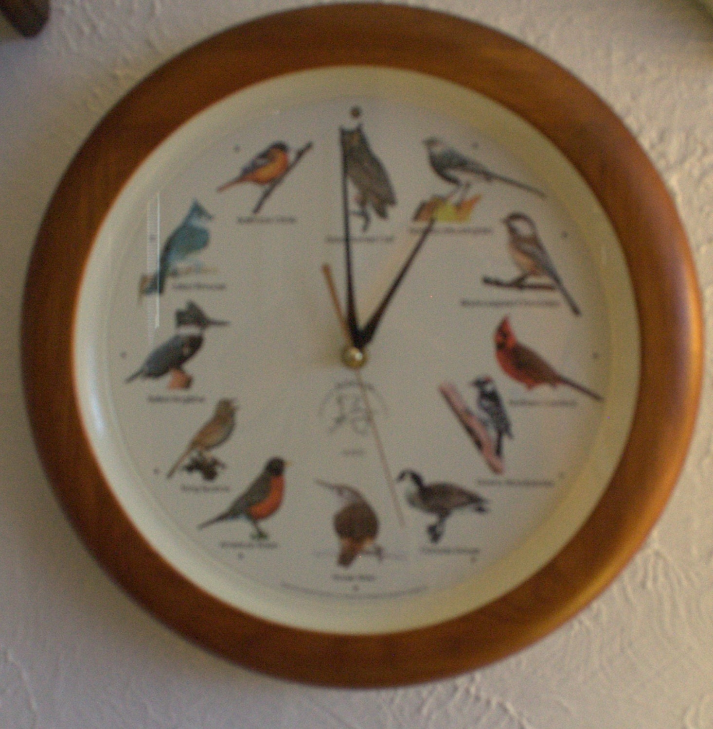 Vintage Clock Audubon Bird Calls by JewelsRosesNRust on Etsy