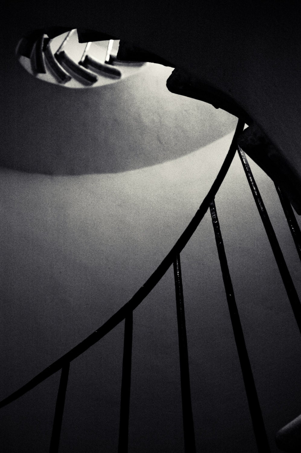 Staircase, Villa Rotunda - 8x12 Print - black and white architecture photograph
