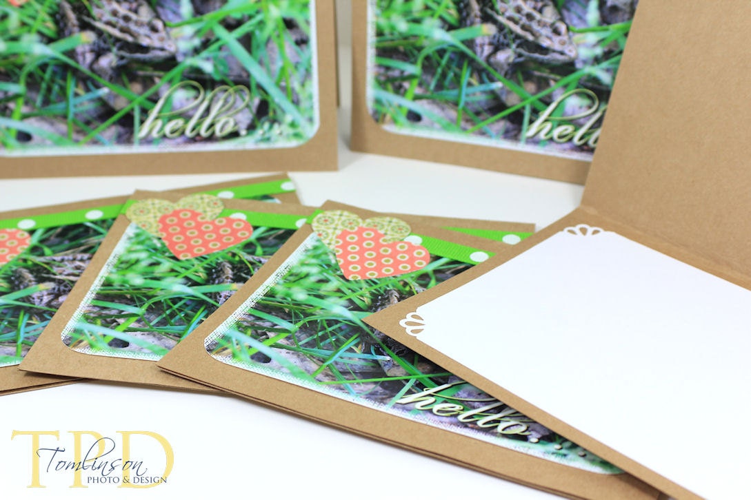 Thinking of You "Hello" Photography Stationery Set Frog & Hearts,  Handmade Greeting Cards, Green and Pink